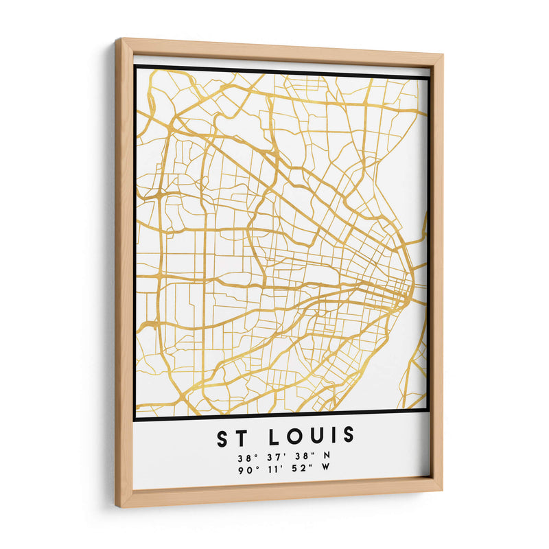St Louis, 1 Mapas 2 49 - Emiliano Deificus | Cuadro decorativo de Canvas Lab