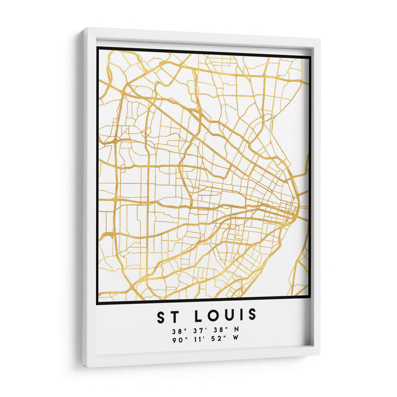 St Louis, 1 Mapas 2 49 - Emiliano Deificus | Cuadro decorativo de Canvas Lab