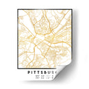 Pittsburgh, 1 Mapas 2 47 - Emiliano Deificus | Cuadro decorativo de Canvas Lab