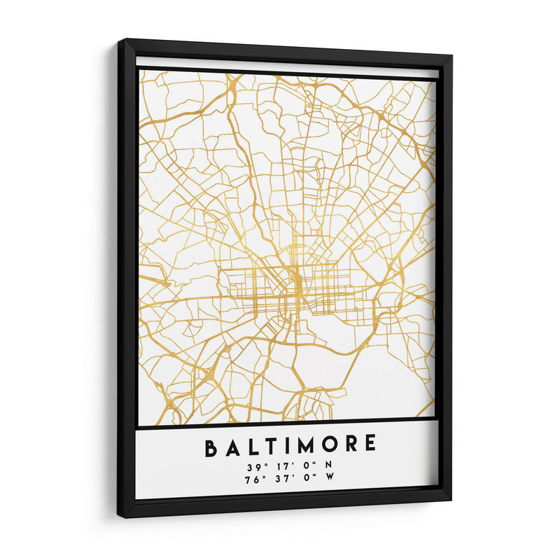 Baltimore, 1 Mapas 2 44 - Emiliano Deificus | Cuadro decorativo de Canvas Lab