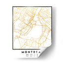 Motreal, 1 Mapas 2 40 - Emiliano Deificus | Cuadro decorativo de Canvas Lab