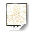 Budapest, 1 Mapas 2 03 - Emiliano Deificus | Cuadro decorativo de Canvas Lab