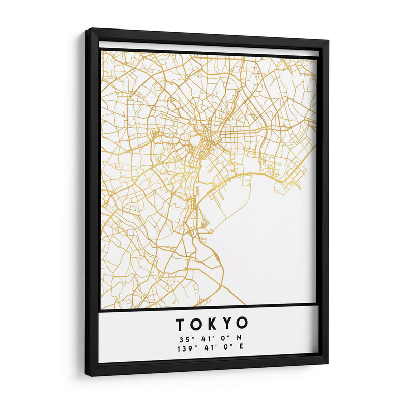 Tokio, 1 Mapas 44 - Emiliano Deificus | Cuadro decorativo de Canvas Lab