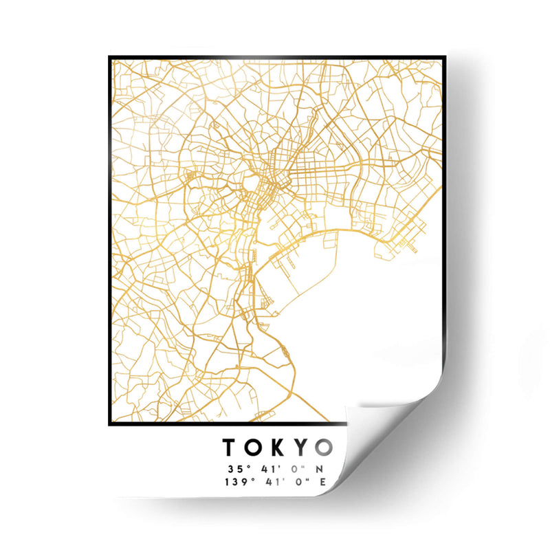 Tokio, 1 Mapas 44 - Emiliano Deificus | Cuadro decorativo de Canvas Lab