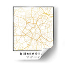 Birmingham, 1 Mapas 20 - Emiliano Deificus | Cuadro decorativo de Canvas Lab