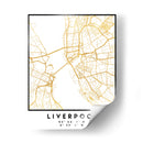 Liverpool, 1 Mapas 18 - Emiliano Deificus | Cuadro decorativo de Canvas Lab