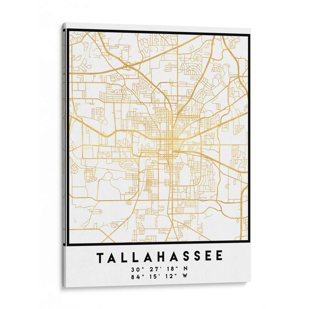 Tallahassee, 1 Mapas 3 30 - Emiliano Deificus | Cuadro decorativo de Canvas Lab