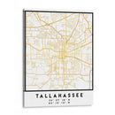 Tallahassee, 1 Mapas 3 30 - Emiliano Deificus | Cuadro decorativo de Canvas Lab