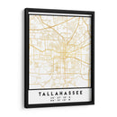 Tallahassee, 1 Mapas 3 30 - Emiliano Deificus | Cuadro decorativo de Canvas Lab