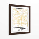 Tallahassee, 1 Mapas 3 30 - Emiliano Deificus | Cuadro decorativo de Canvas Lab
