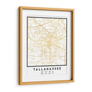 Tallahassee, 1 Mapas 3 30 - Emiliano Deificus | Cuadro decorativo de Canvas Lab