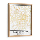 Tallahassee, 1 Mapas 3 30 - Emiliano Deificus | Cuadro decorativo de Canvas Lab