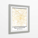 Tallahassee, 1 Mapas 3 30 - Emiliano Deificus | Cuadro decorativo de Canvas Lab