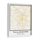 Tallahassee, 1 Mapas 3 30 - Emiliano Deificus | Cuadro decorativo de Canvas Lab