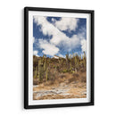 Mixe Haus - Erick Abrego | Cuadro decorativo de Canvas Lab