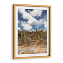 Mixe Haus - Erick Abrego | Cuadro decorativo de Canvas Lab