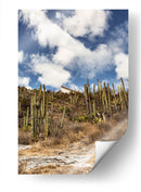 Mixe Haus - Erick Abrego | Cuadro decorativo de Canvas Lab