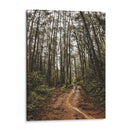 Arte de pared Sendero Místico en el Bosque – Fotografía de naturaleza imprimible, paisaje de bosque, decoración rústica para el hogar,. - Nosion | Cuadro decorativo de Canvas Lab