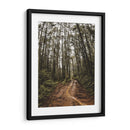 Arte de pared Sendero Místico en el Bosque – Fotografía de naturaleza imprimible, paisaje de bosque, decoración rústica para el hogar,. - Nosion | Cuadro decorativo de Canvas Lab