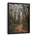 Arte de pared Sendero Místico en el Bosque – Fotografía de naturaleza imprimible, paisaje de bosque, decoración rústica para el hogar,. - Nosion | Cuadro decorativo de Canvas Lab