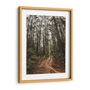Arte de pared Sendero Místico en el Bosque – Fotografía de naturaleza imprimible, paisaje de bosque, decoración rústica para el hogar,. - Nosion | Cuadro decorativo de Canvas Lab