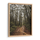 Arte de pared Sendero Místico en el Bosque – Fotografía de naturaleza imprimible, paisaje de bosque, decoración rústica para el hogar,. - Nosion | Cuadro decorativo de Canvas Lab