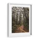 Arte de pared Sendero Místico en el Bosque – Fotografía de naturaleza imprimible, paisaje de bosque, decoración rústica para el hogar,. - Nosion | Cuadro decorativo de Canvas Lab