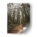 Arte de pared Sendero Místico en el Bosque – Fotografía de naturaleza imprimible, paisaje de bosque, decoración rústica para el hogar,. - Nosion | Cuadro decorativo de Canvas Lab