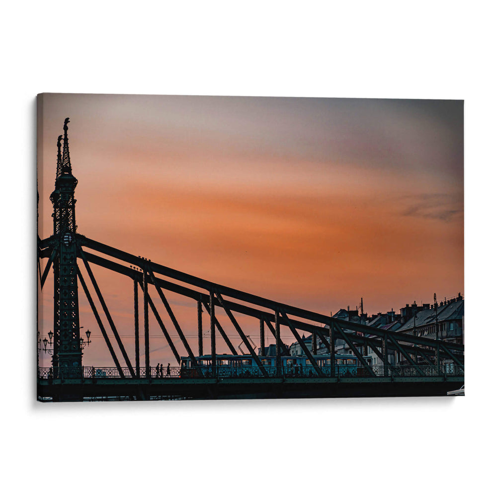 Puente de la libertad, Budapest - Claudia Luna | Cuadro decorativo de Canvas Lab