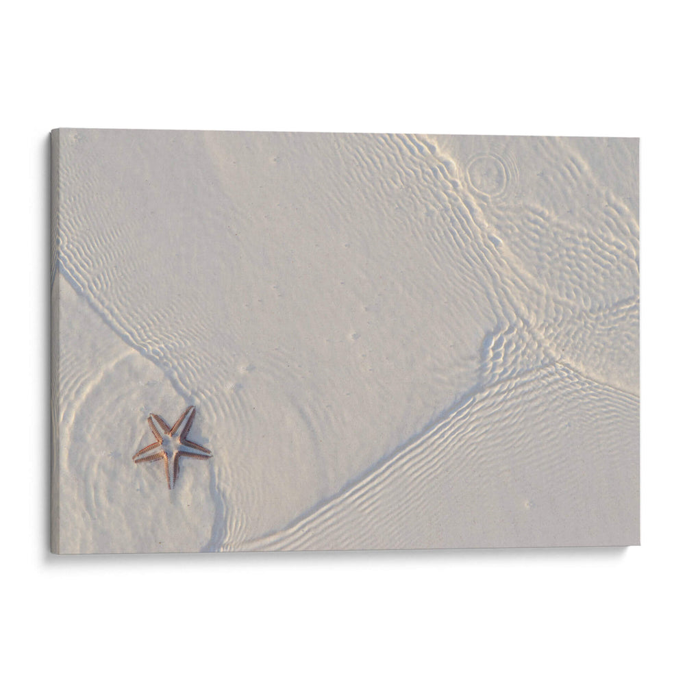 Estrella de mar en Holbox - Luis Rodrigo Magaña Andrade | Cuadro decorativo de Canvas Lab