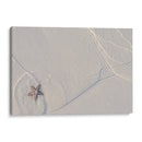 Estrella de mar en Holbox - Luis Rodrigo Magaña Andrade | Cuadro decorativo de Canvas Lab