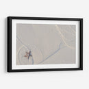 Estrella de mar en Holbox - Luis Rodrigo Magaña Andrade | Cuadro decorativo de Canvas Lab