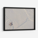 Estrella de mar en Holbox - Luis Rodrigo Magaña Andrade | Cuadro decorativo de Canvas Lab