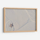 Estrella de mar en Holbox - Luis Rodrigo Magaña Andrade | Cuadro decorativo de Canvas Lab