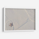 Estrella de mar en Holbox - Luis Rodrigo Magaña Andrade | Cuadro decorativo de Canvas Lab