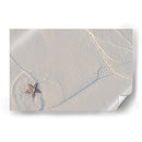 Estrella de mar en Holbox - Luis Rodrigo Magaña Andrade | Cuadro decorativo de Canvas Lab