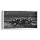 El 7 es de la suerte - Christian Castro | Cuadro decorativo de Canvas Lab