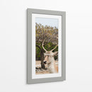 Ciervo en Primavera - Christian Castro | Cuadro decorativo de Canvas Lab
