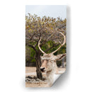 Ciervo en Primavera - Christian Castro | Cuadro decorativo de Canvas Lab