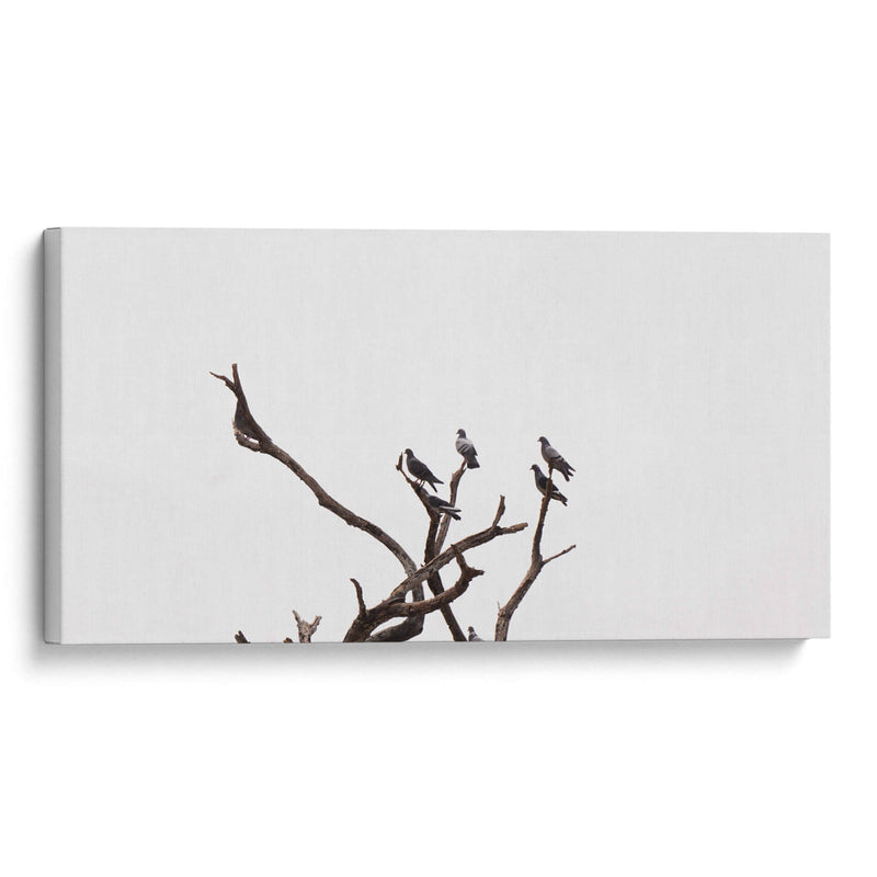 Morada de pájaros - Christian Castro | Cuadro decorativo de Canvas Lab