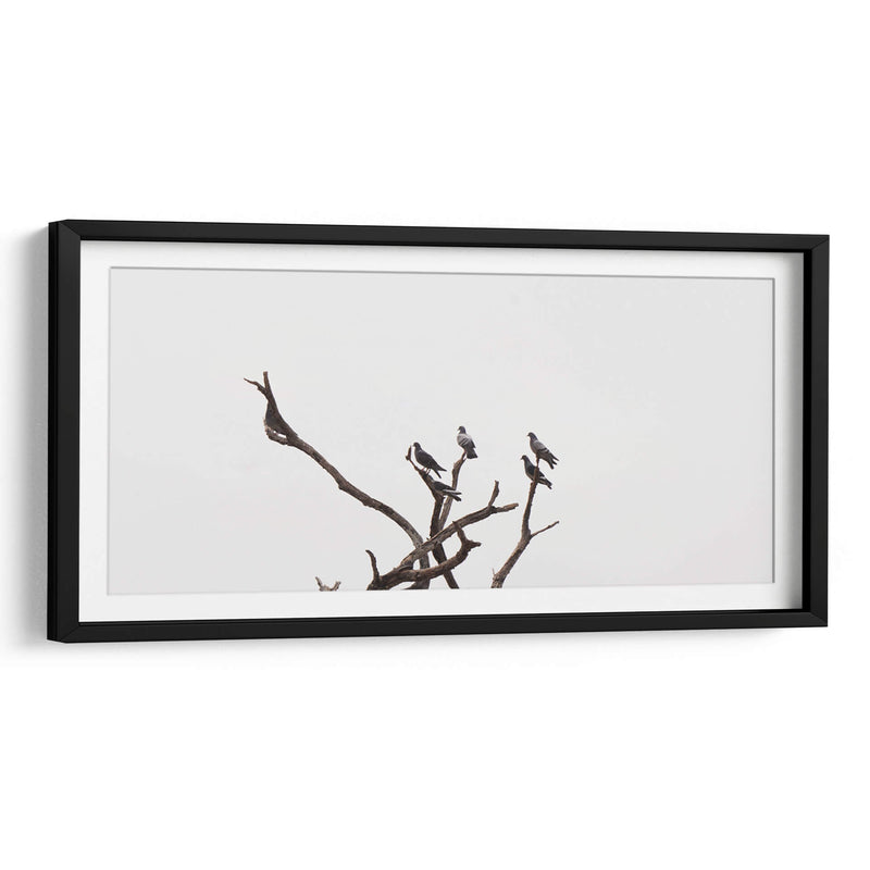 Morada de pájaros - Christian Castro | Cuadro decorativo de Canvas Lab