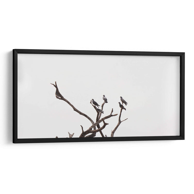 Morada de pájaros - Christian Castro | Cuadro decorativo de Canvas Lab