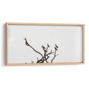 Morada de pájaros - Christian Castro | Cuadro decorativo de Canvas Lab