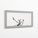 Morada de pájaros - Christian Castro | Cuadro decorativo de Canvas Lab