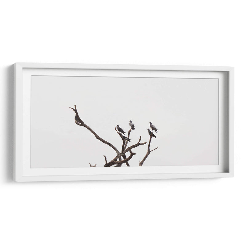 Morada de pájaros - Christian Castro | Cuadro decorativo de Canvas Lab