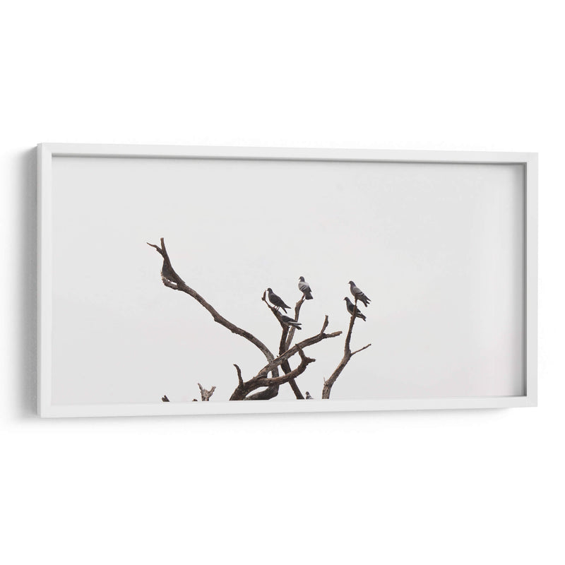 Morada de pájaros - Christian Castro | Cuadro decorativo de Canvas Lab