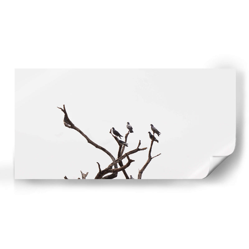 Morada de pájaros - Christian Castro | Cuadro decorativo de Canvas Lab