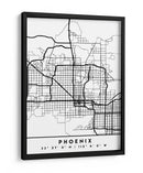 Phoenix - Mapas negros 66 - Emiliano Deificus | Cuadro decorativo de Canvas Lab