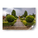 Plaza Principal de Tupátaro – Equilibrio entre historia y naturaleza. - Nosion | Cuadro decorativo de Canvas Lab