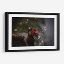 Pato en macro - Alan050 | Cuadro decorativo de Canvas Lab